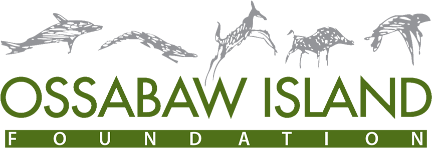 Ossabaw Island Storefront