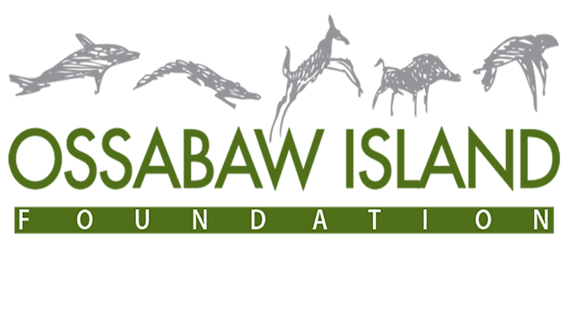 ossabaw island foundation